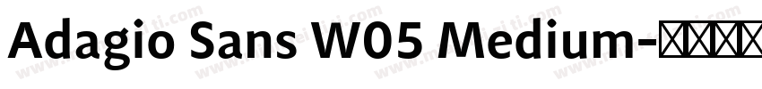 Adagio Sans W05 Medium字体转换